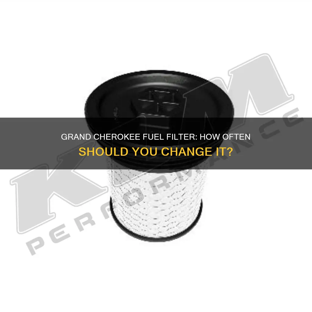 how often fuel filter grand cherokee