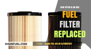 Rdx Fuel Filter: When to Replace It