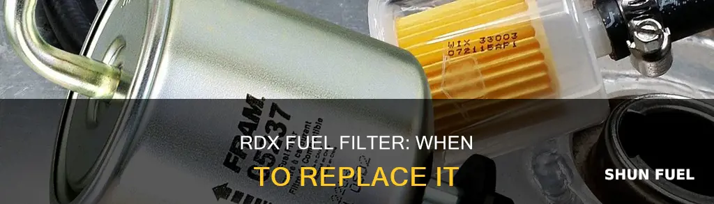 how often is an rdx fuel filter replaced