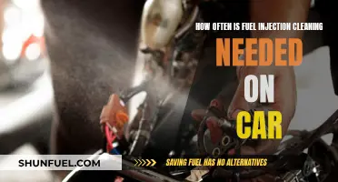 Fuel Injection Cleaning: How Often is Necessary for Cars?