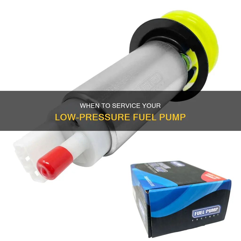 how often low pressure fuel pump hpdi