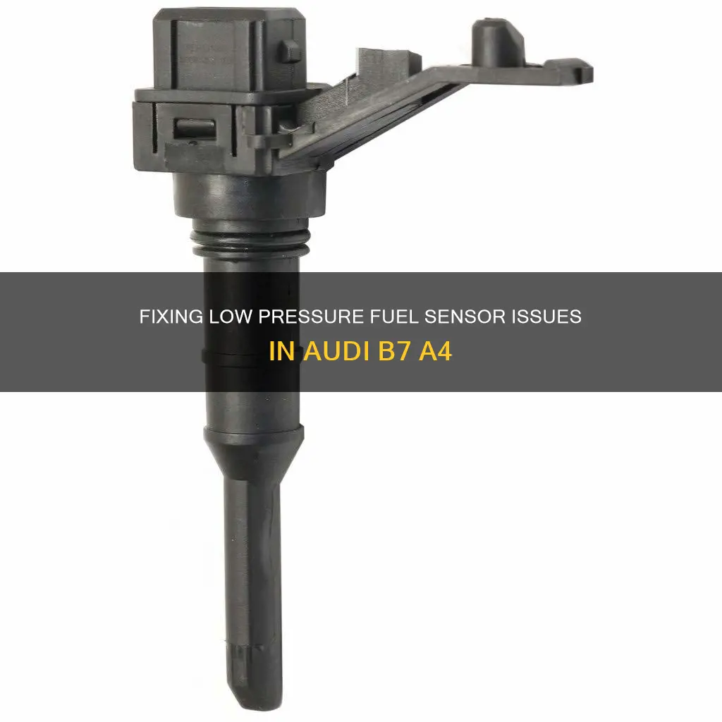 how often low pressure fuel sensor b7 a4