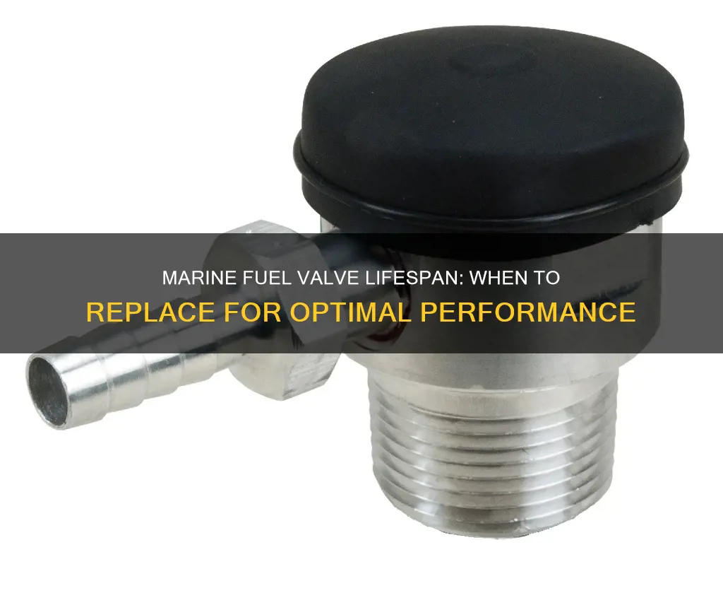 how often marine fuel valves need replacing