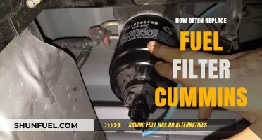 Cummins Fuel Filter Maintenance: When to Replace for Optimal Performance