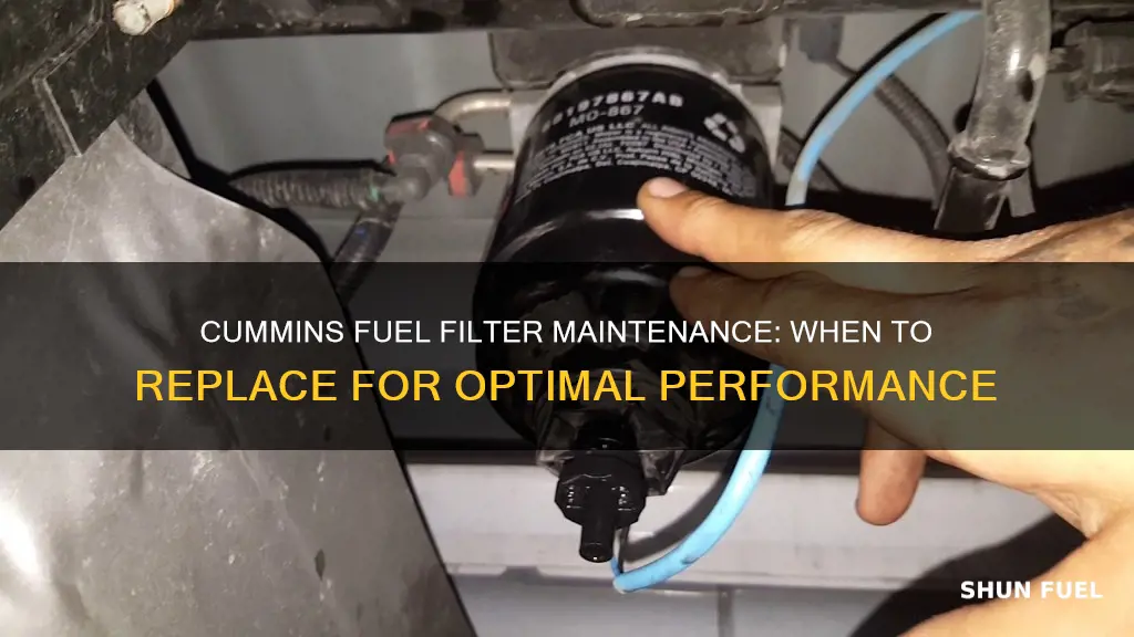 how often replace fuel filter cummins