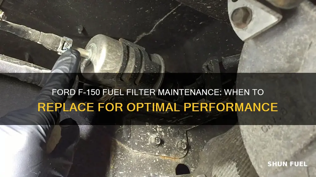 how often replace fuel filter ford f150