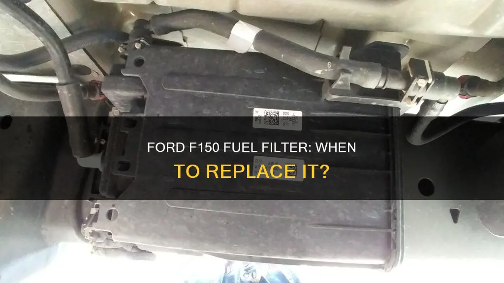 how often replace fuel filter ford f150
