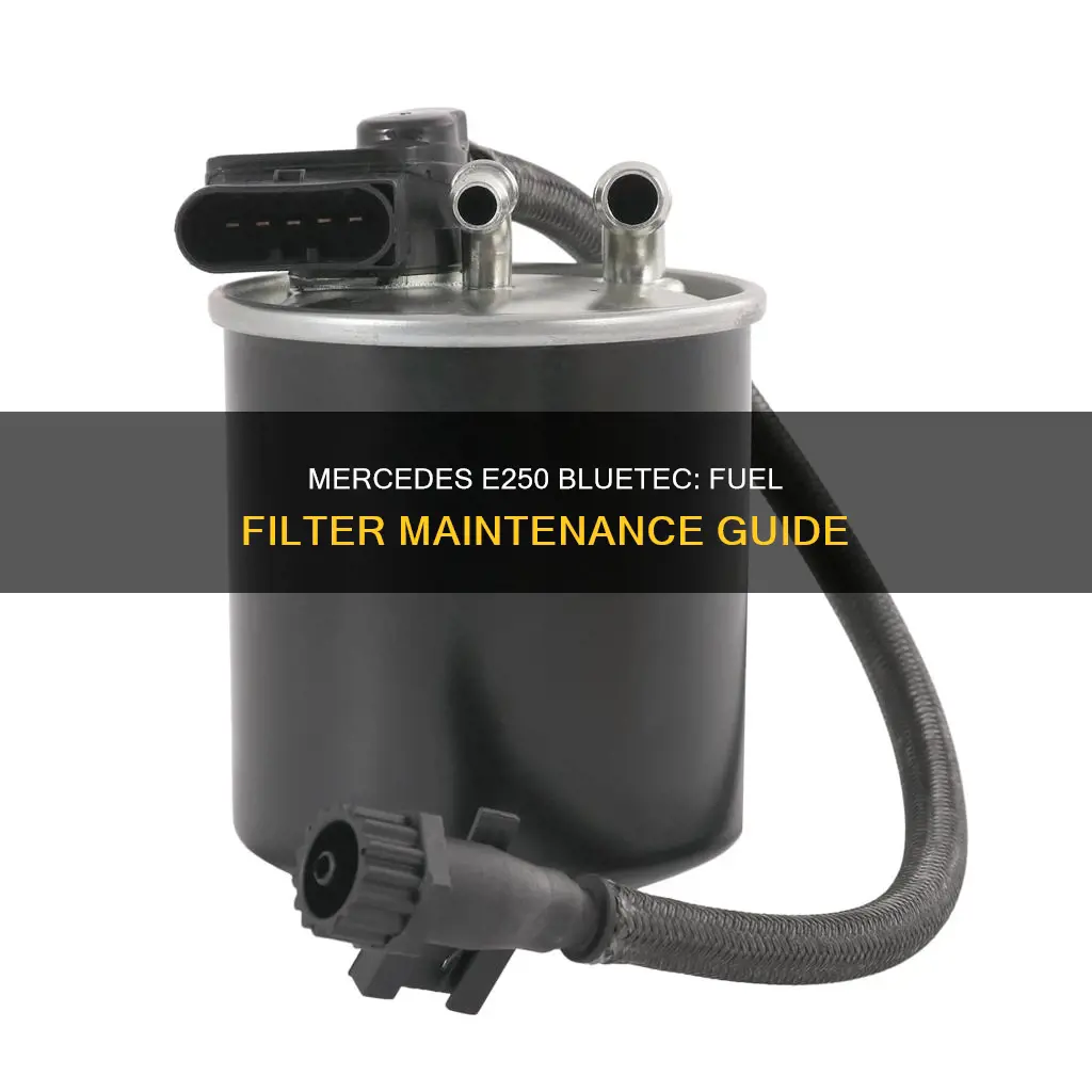 how often replace fuel filter on mercedes e250 bluetec