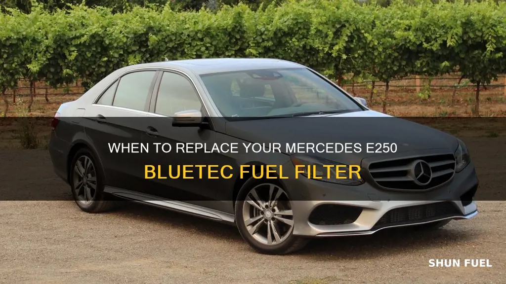 how often replace fuel filter on mercedes e250 bluetec