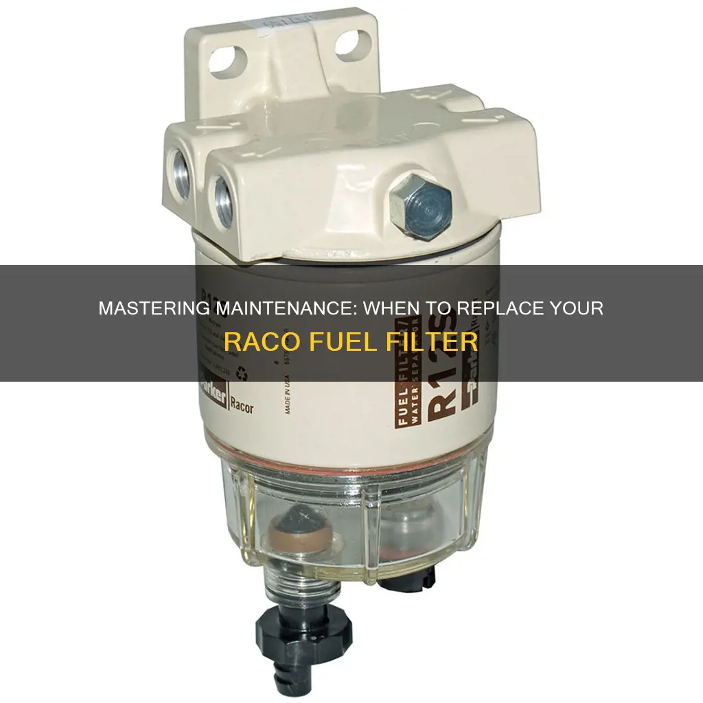 how often replace racor fuel filter