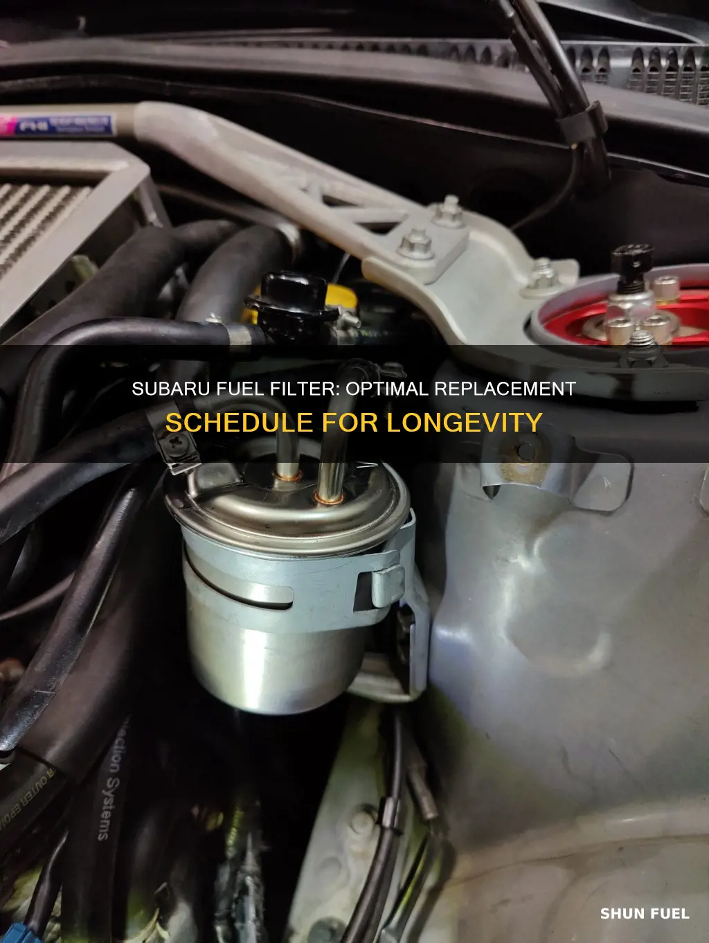 how often should a subaru fuel filter be replaced