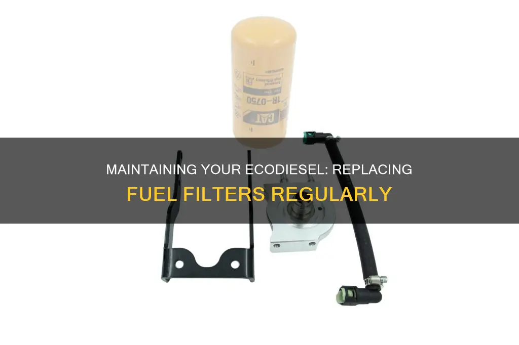 how often should ecodiesel fuel filter be replaced
