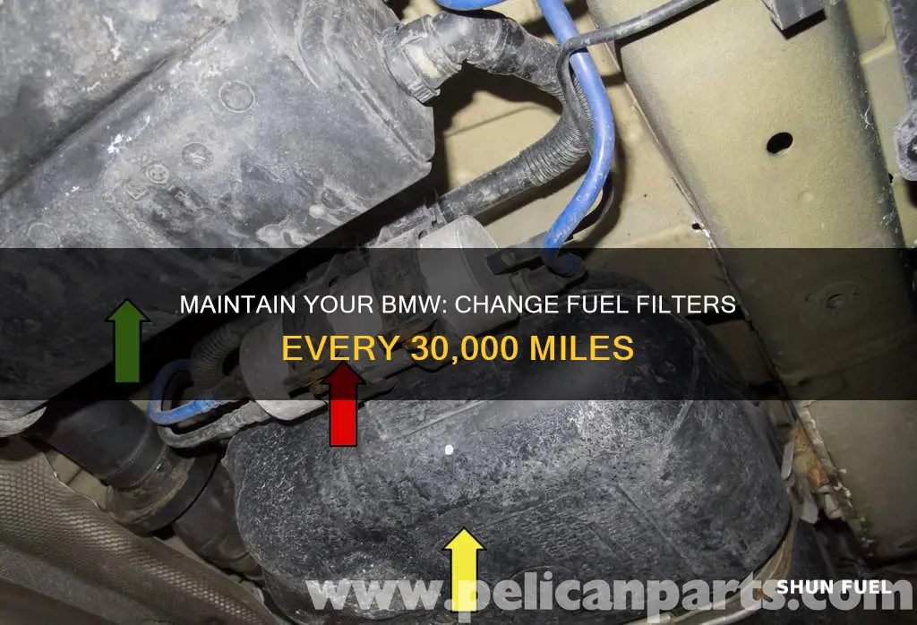 how often should fuel filter be changed bmw x5 35d