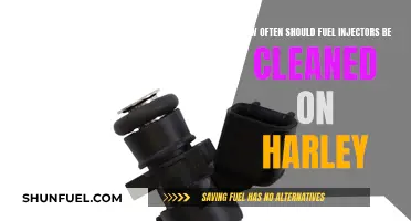 Harley Fuel Injectors: Cleaning Frequency and Maintenance Guide