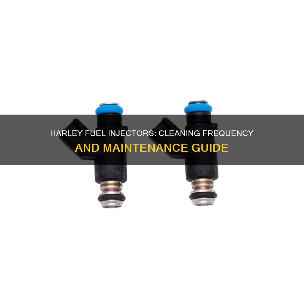 how often should fuel injectors be cleaned on harley
