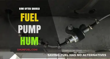 Understanding Fuel Pump Hum Frequency: Optimal Operation and Maintenance Tips