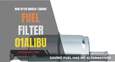 Fuel Filter Maintenance: Changing Intervals for Optimum Car Performance