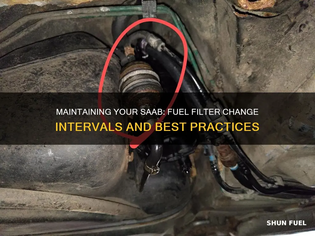 how often should i change fuel filter saab 95