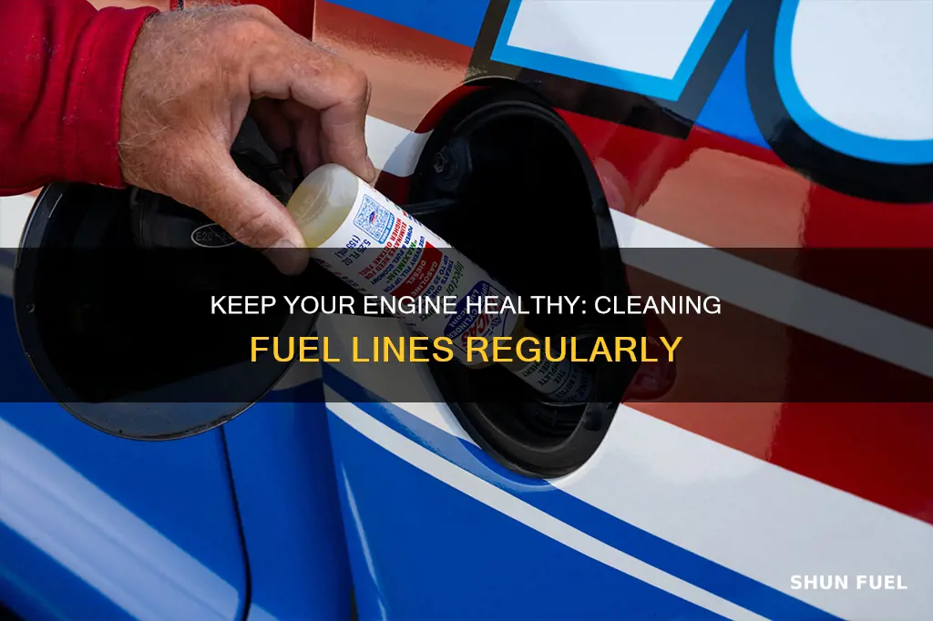 how often should i clean my fuel lines