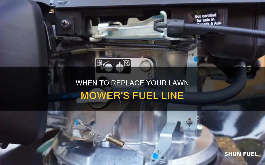 how often should i replace fuel line on lawn mower