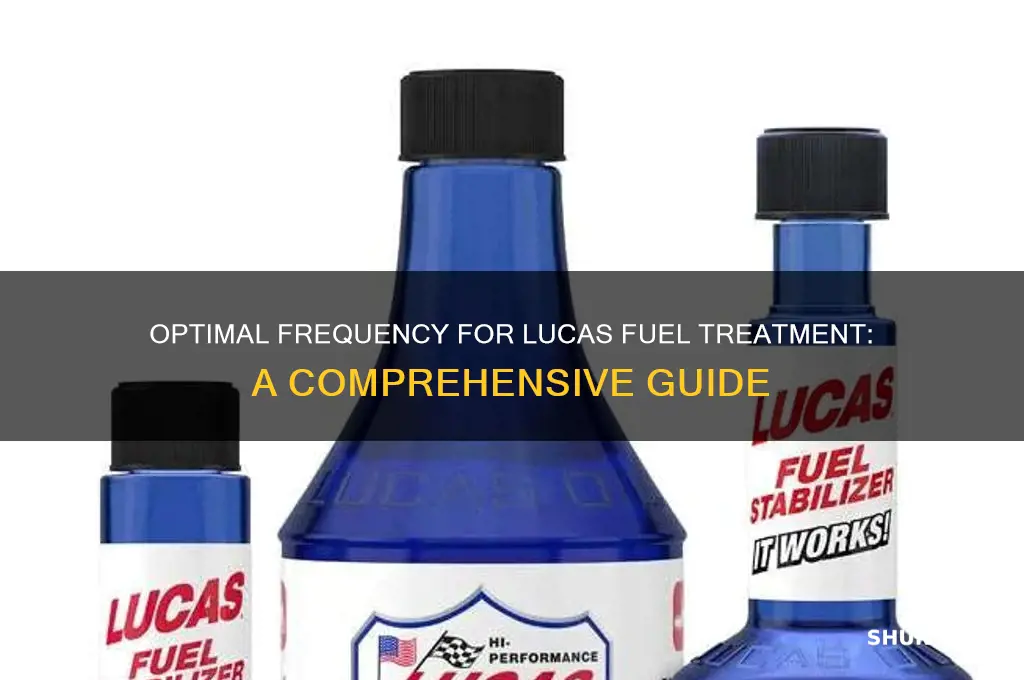 how often should i use lucas fuel treatment