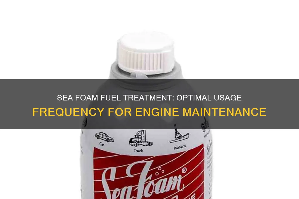 how often should i use sea foam in my fuel