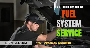 Your Car's Fuel System: Service Frequency and Maintenance Tips