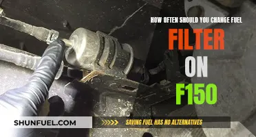 Maintain Your F150: Change Fuel Filter, How Often?