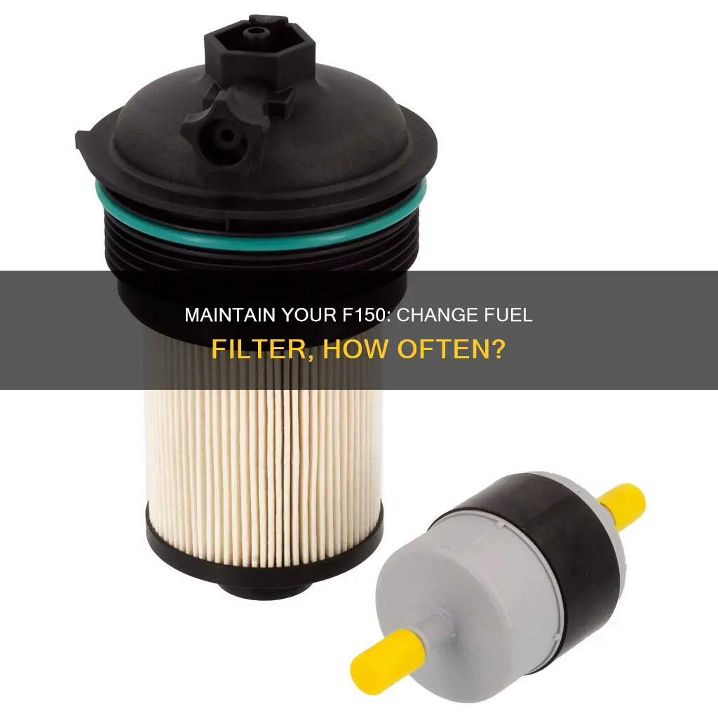 how often should you change fuel filter on f150