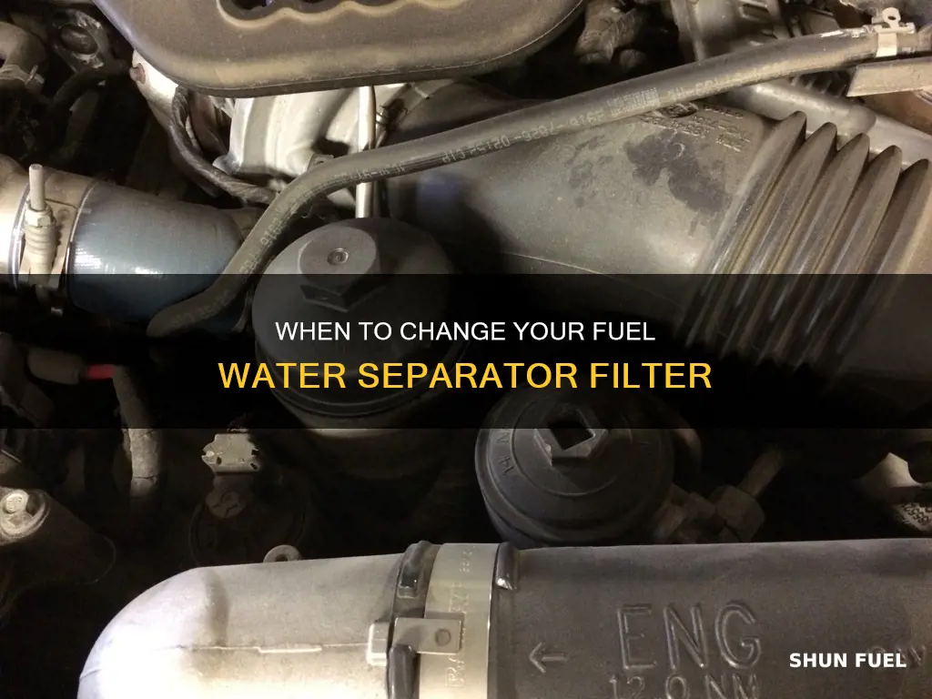 how often should you change fuel water separator filter