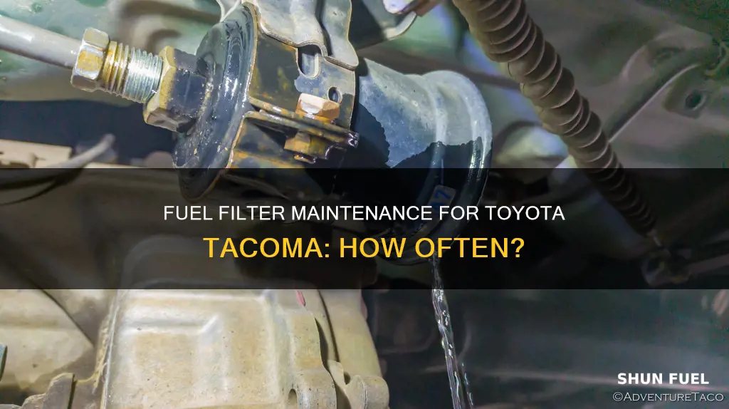 how often should you change your fuel filter toyota tacoma