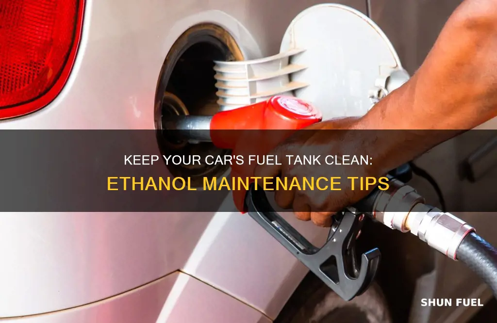 how often should you clean your car fuel tank ethanol