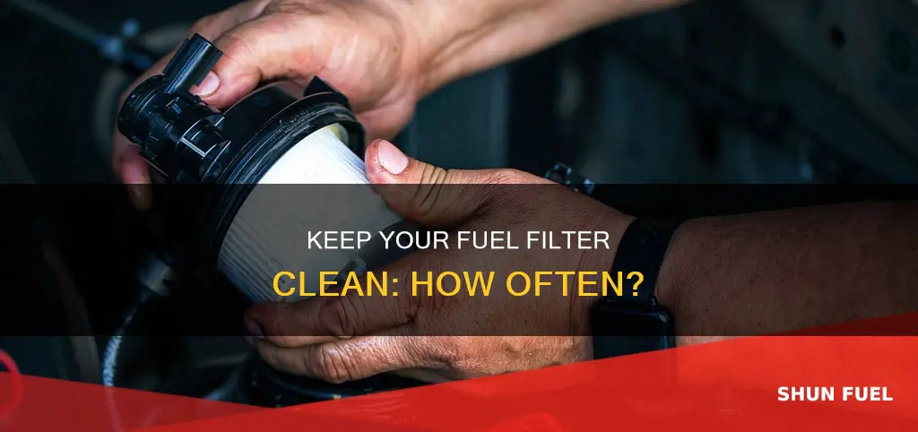 how often should you clean your fuel filter
