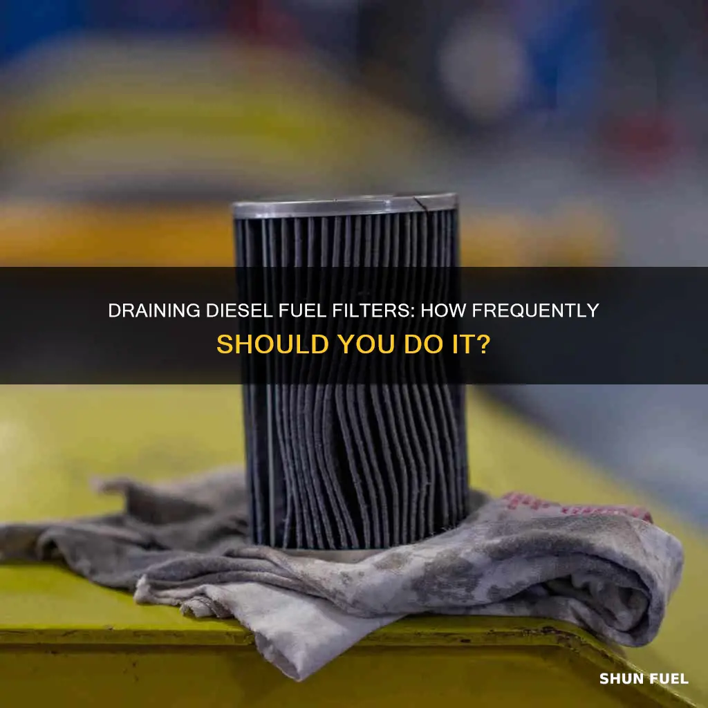 how often should you drain your diesel fuel filter