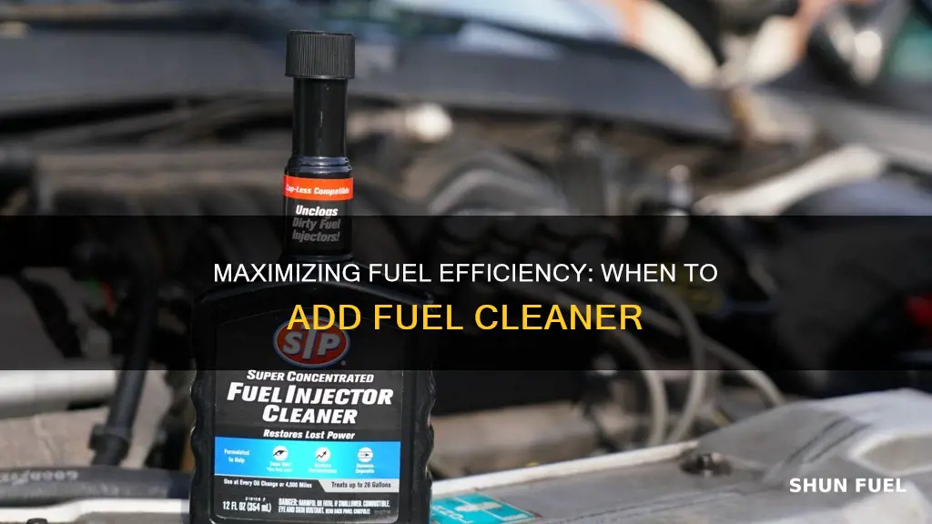 how often should you put fuel cleaner in your car