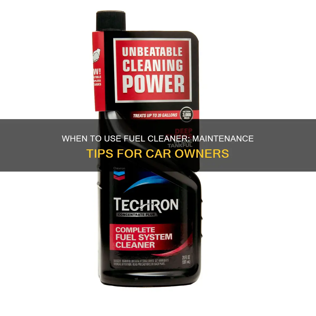 how often should you put fuel cleaner in your car