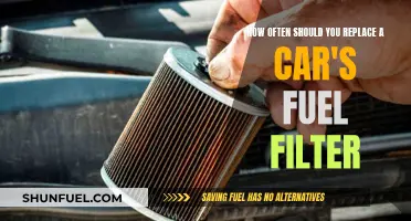 Fuel Filter Maintenance: When to Replace for Optimal Performance