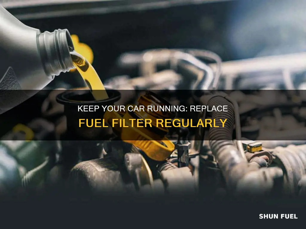 how often should you replace a car