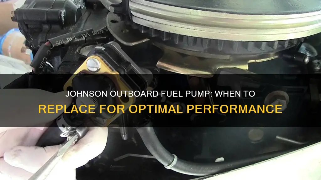 how often should you replace a johnson outboard fuel pump