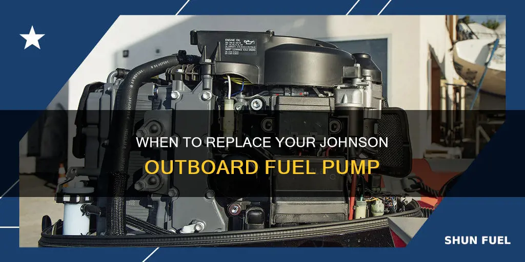 how often should you replace a johnson outboard fuel pump