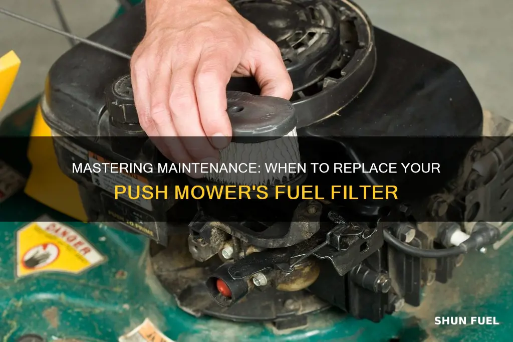 how often should you replace a push mower fuel filter