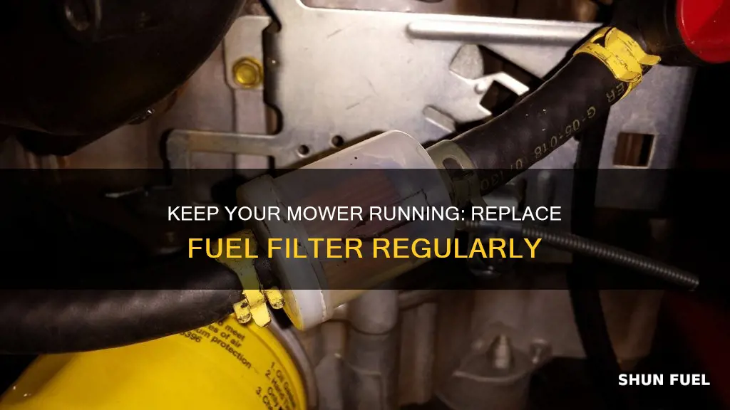 how often should you replace a push mower fuel filter