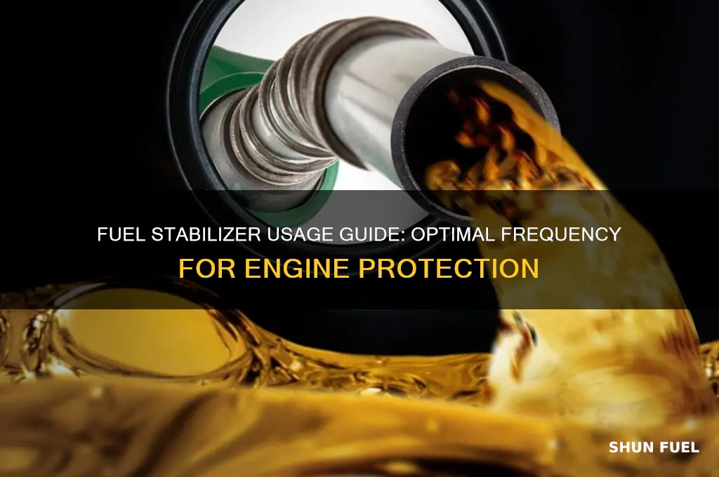 how often should you use fuel stabilizer