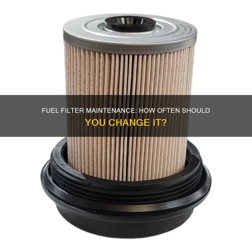 how often to chane fuel filter