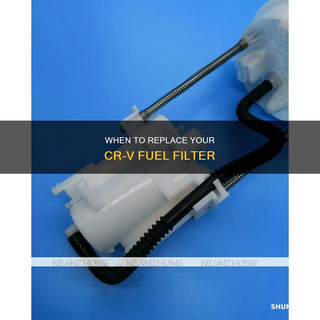 how often to change crv fuel filter