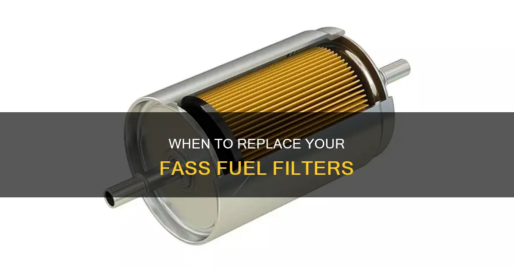 how often to change fass fuel filters