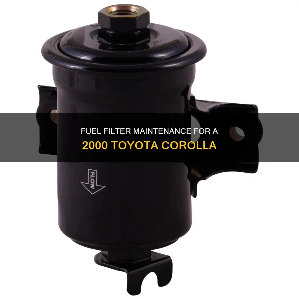 how often to change fuel filter 2000 toyota corolla