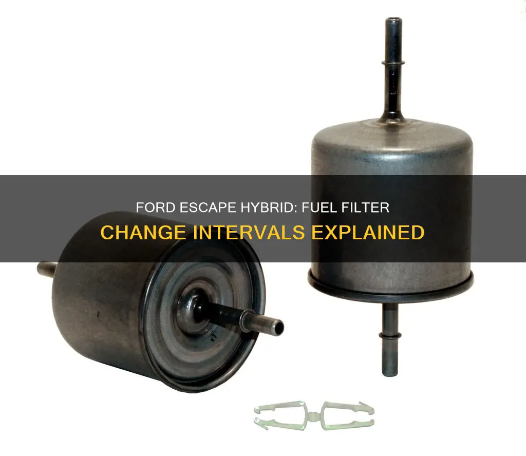 how often to change fuel filter 2008 ford escape hybrid