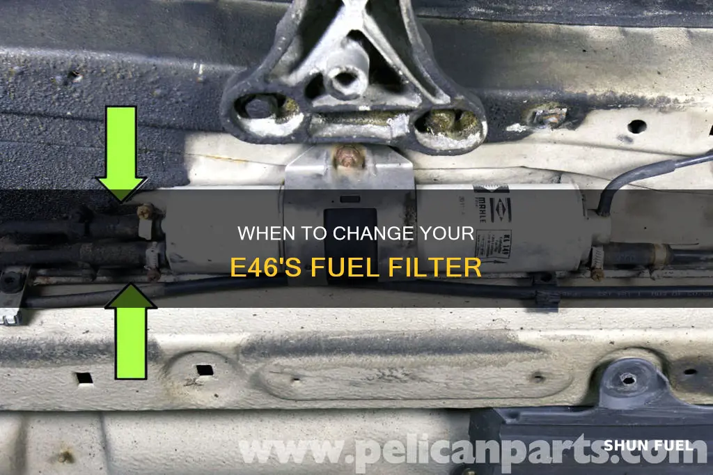 how often to change fuel filter e46