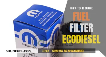 When to Change Your EcoDiesel's Fuel Filter